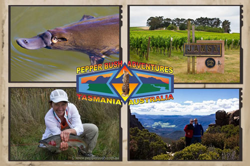 Wildlife tours of North East Tasmania